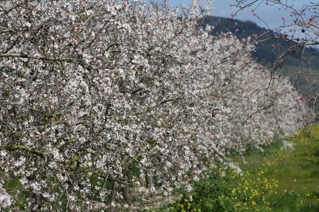 108 Finca Son Morey Tarongers Etv14340 By Mallorca Charme Can Picafort  0*, Can Picafort (Mallorca) Spain