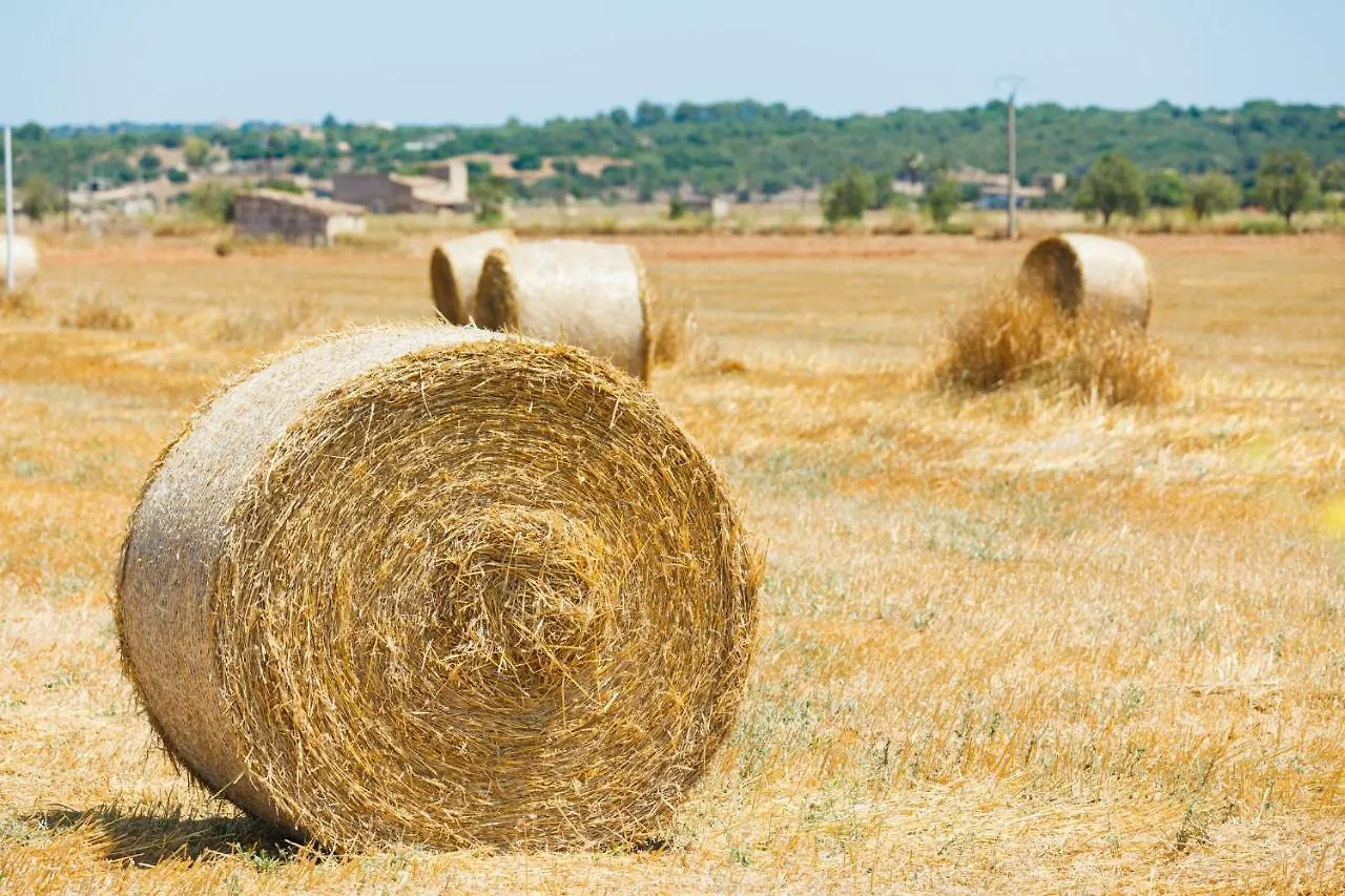108 Finca Son Morey Tarongers Etv14340 By Mallorca Charme Can Picafort  0*, Can Picafort (Mallorca) Spain